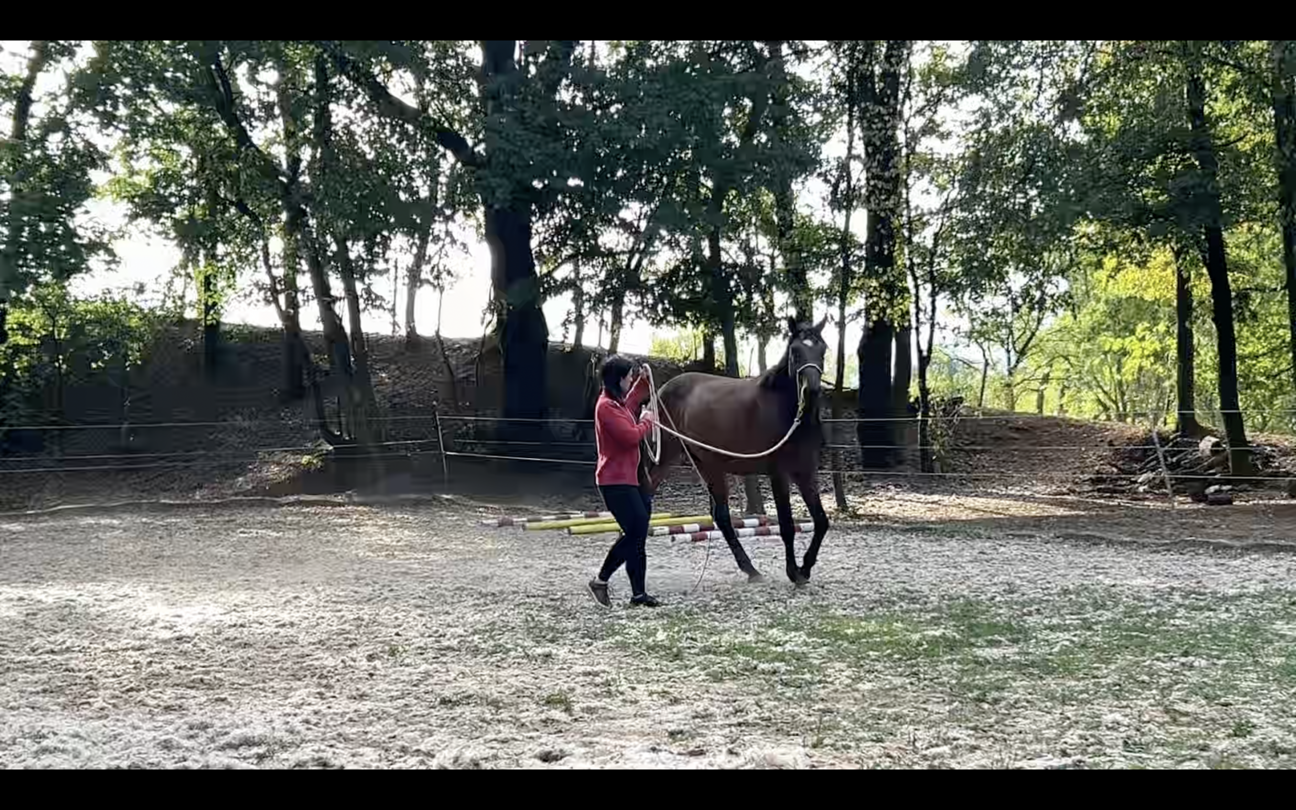 CORI