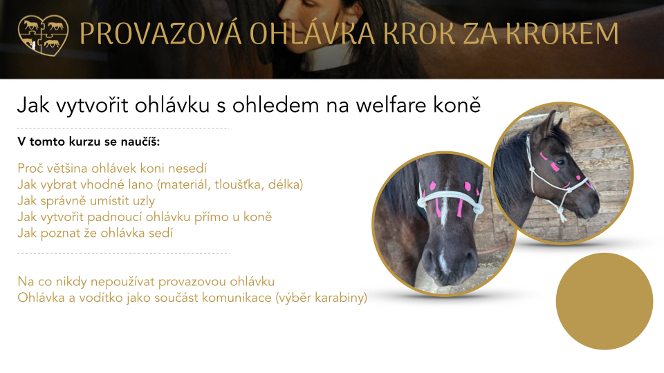 Ohlávka